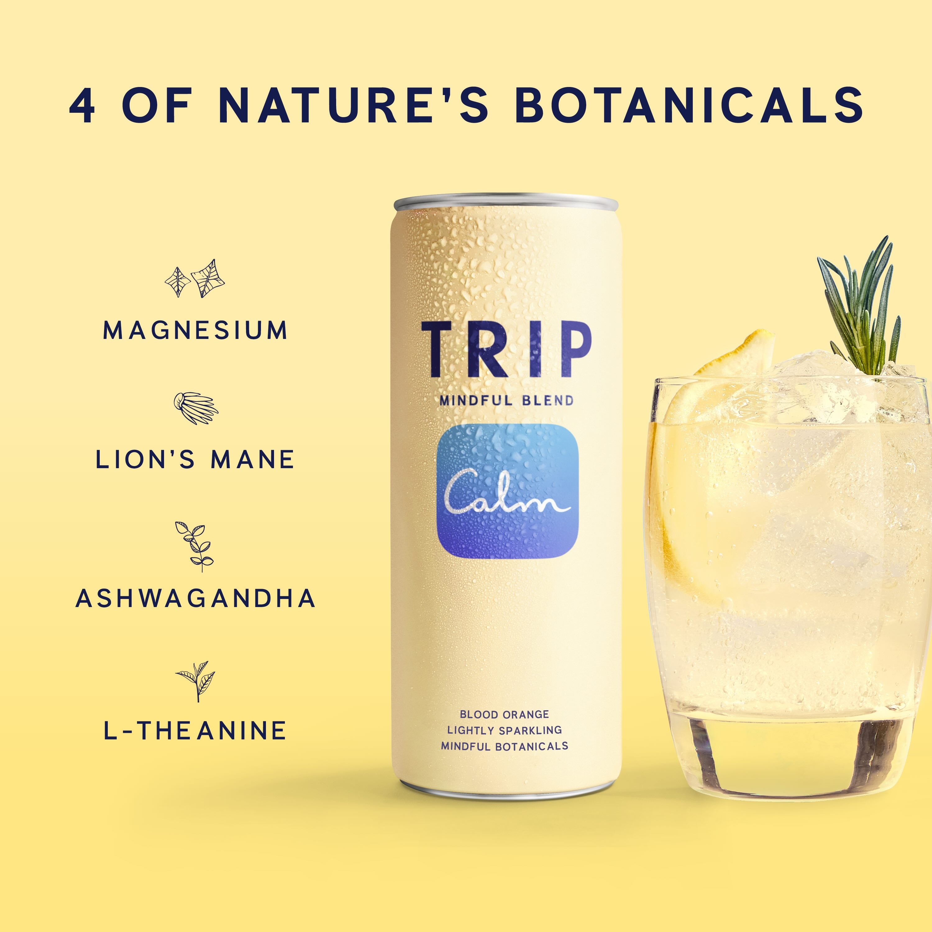 Blood Orange Mindful Blend