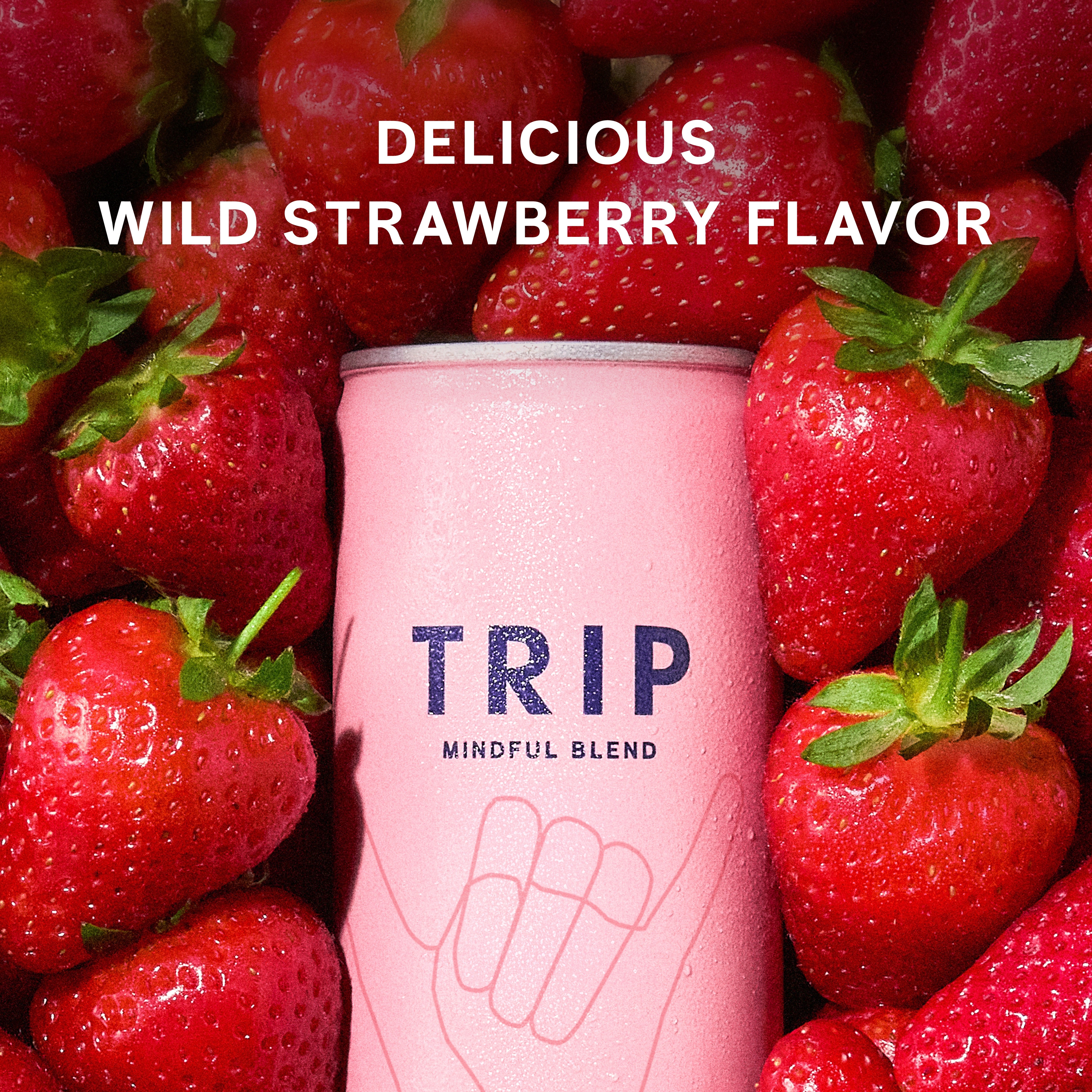 Wild Strawberry Mindful Blend