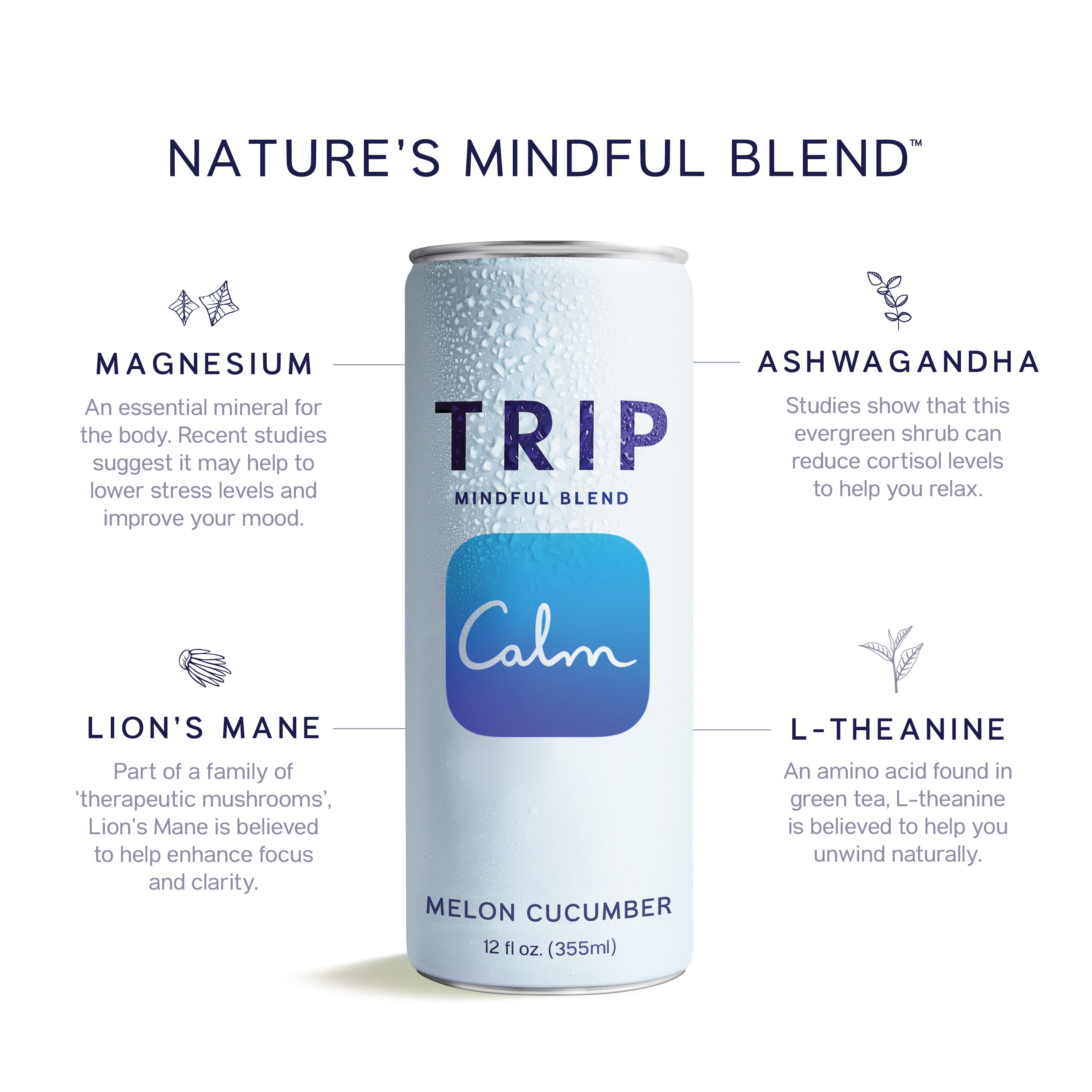 Mixed Pack Magnesium Mindful Blend
