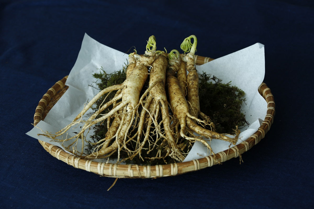 What are adaptogens?