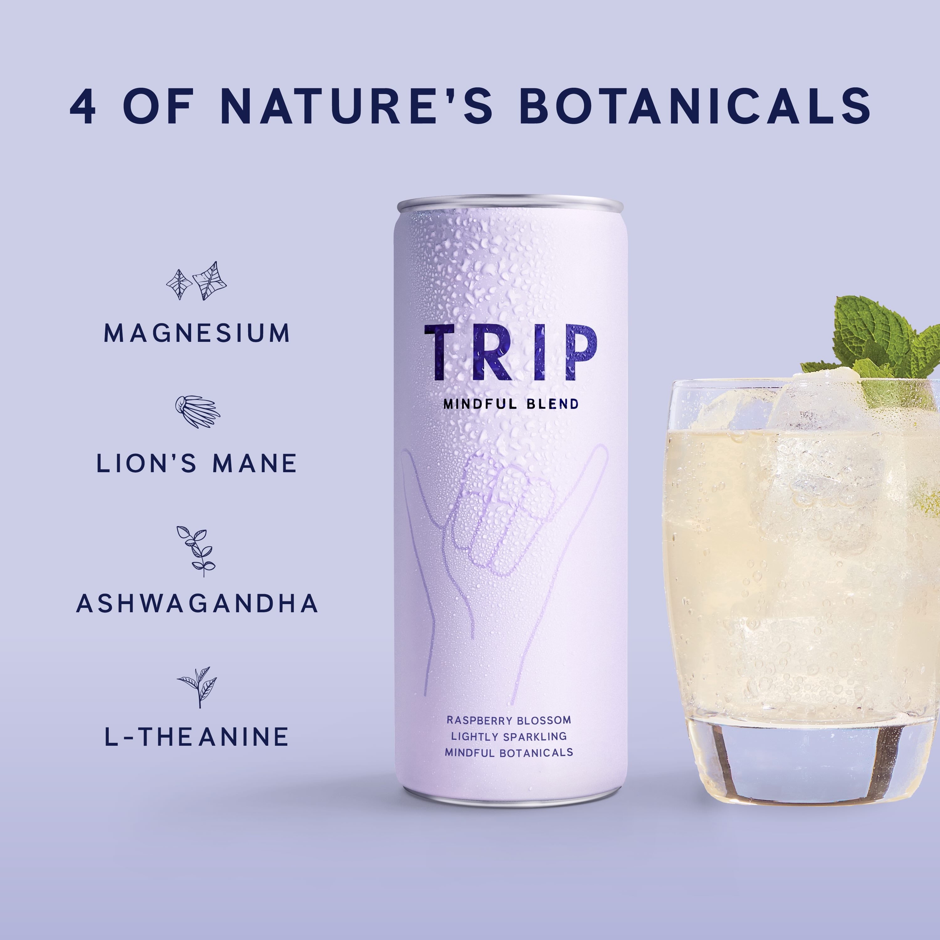 Raspberry Orange Blossom Mindful Blend Sparkling Drink | TRIP