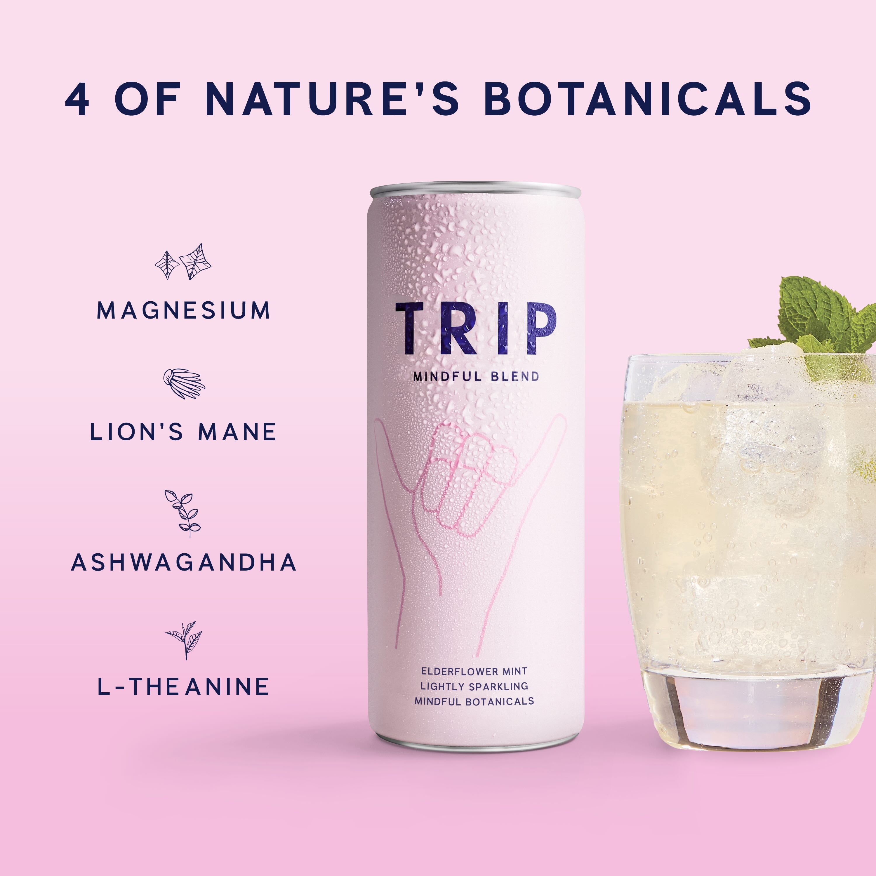 Elderflower Mint Mindful Blend
