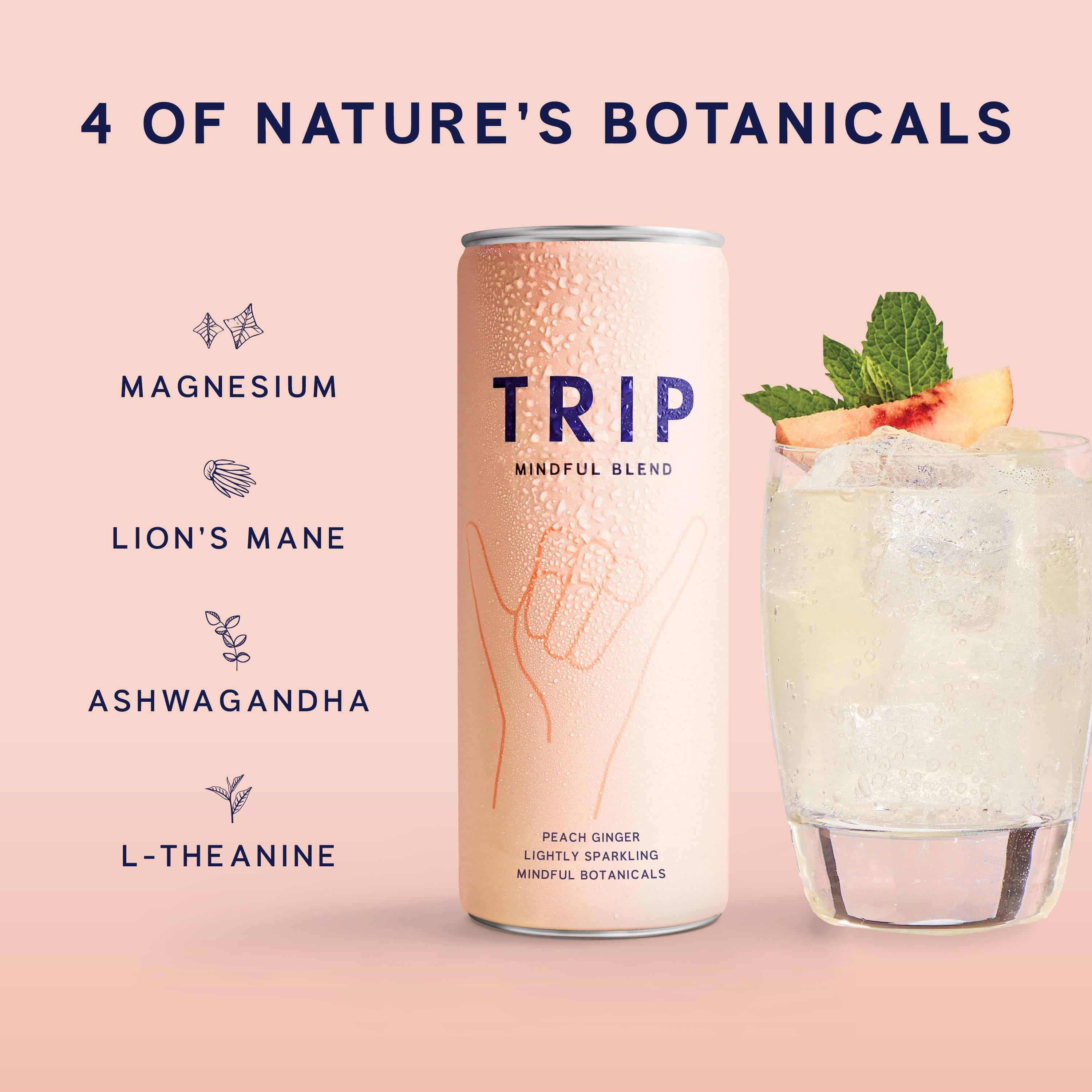 Peach Ginger Mindful Blend