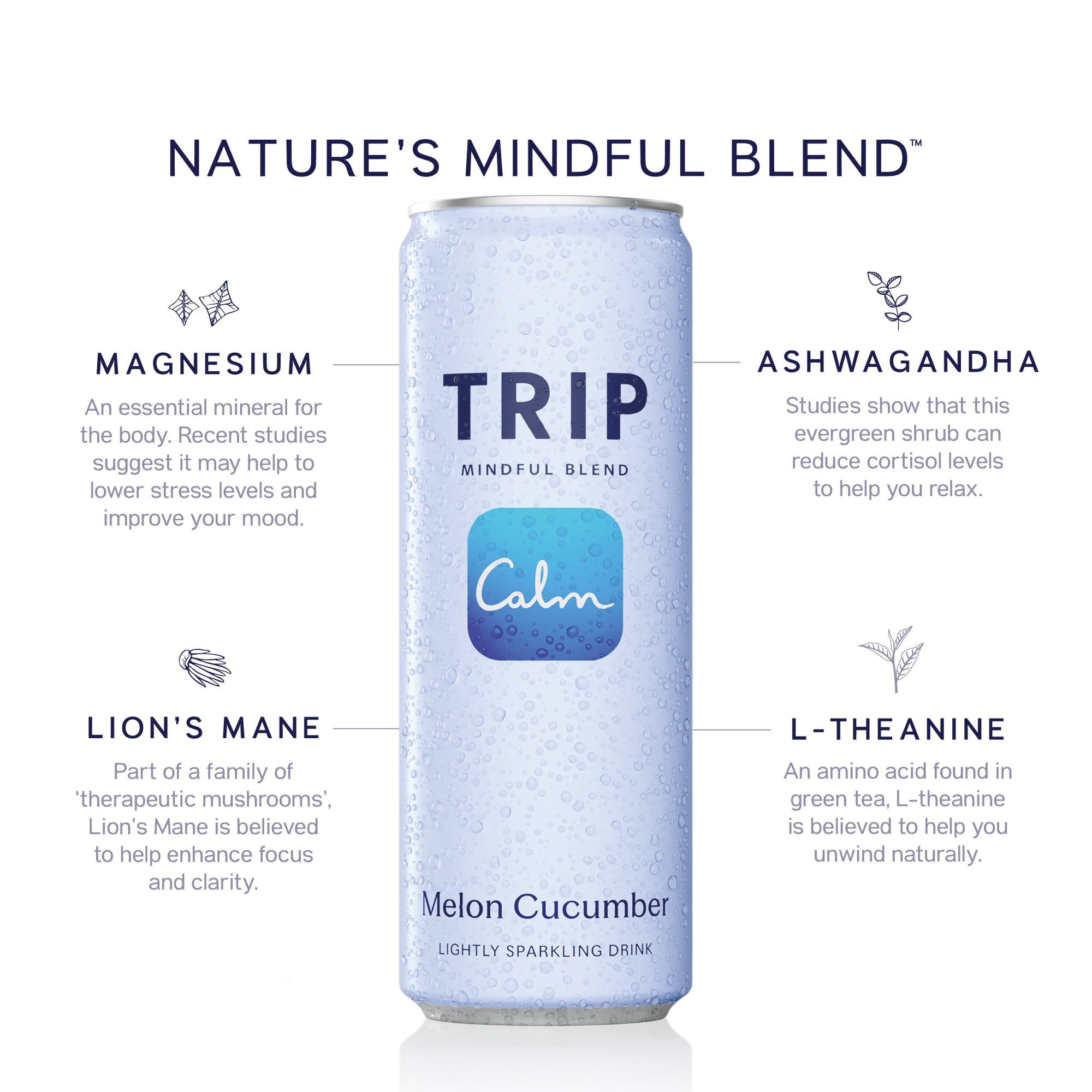 79（The Mind Gift） / ENJOY YOUR TRIP　ザマギ Multi-Flavor Mindful Blend Mixed Magnesium Packs | TRIP