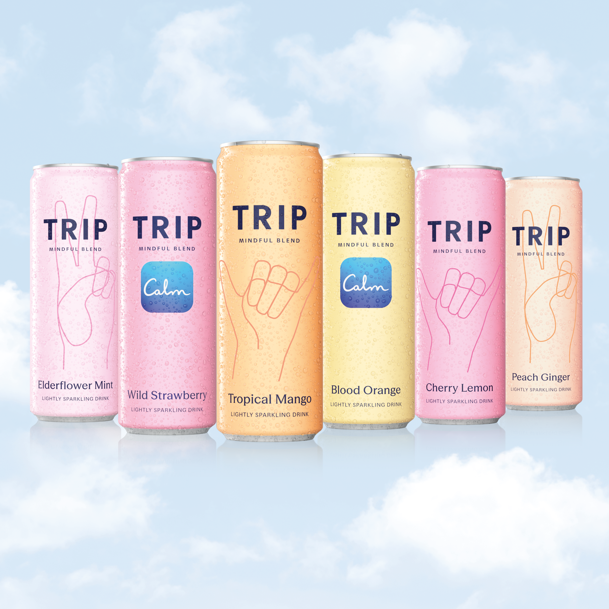 Sampler Pack Magnesium Drinks