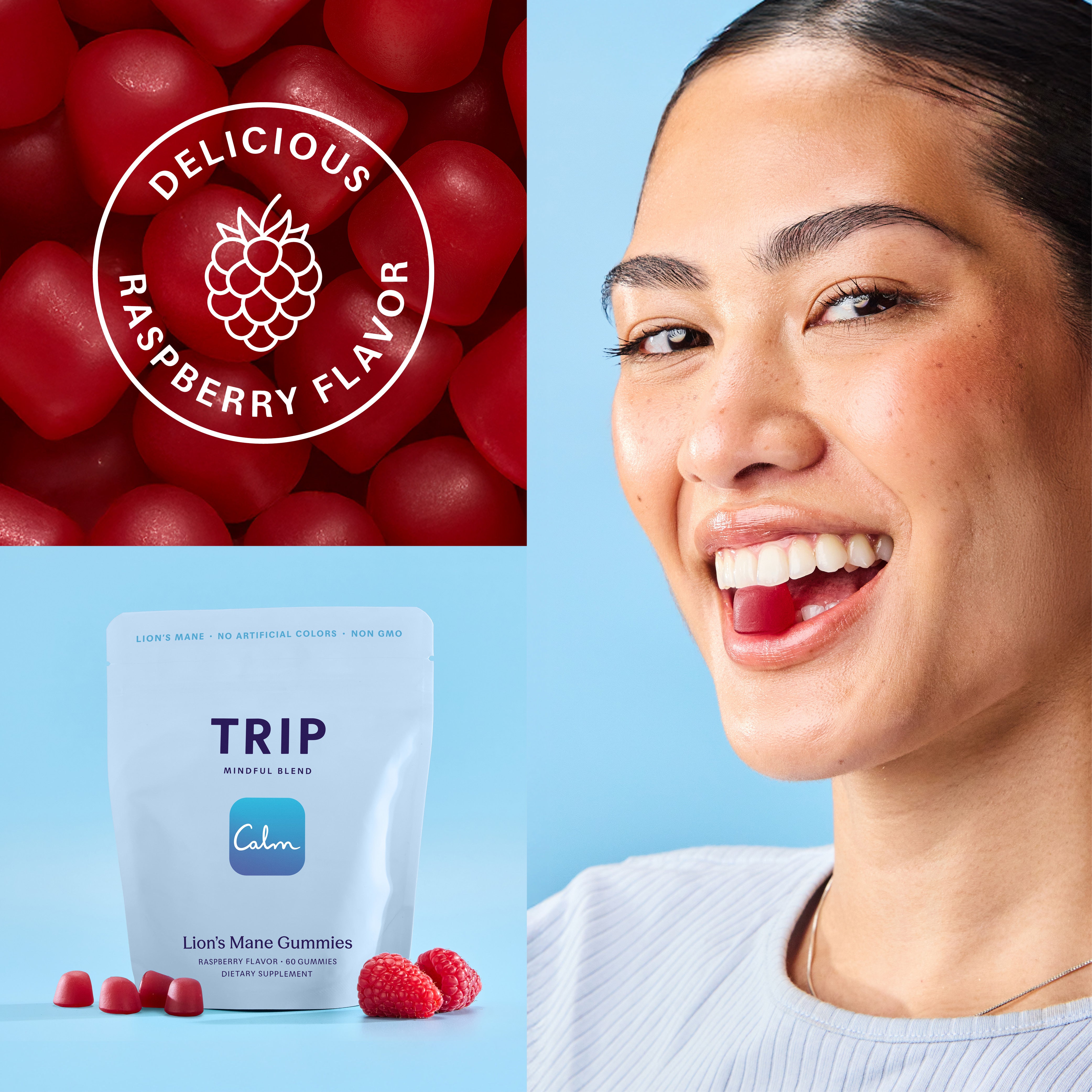 Raspberry Lion's Mane Mushroom Gummies